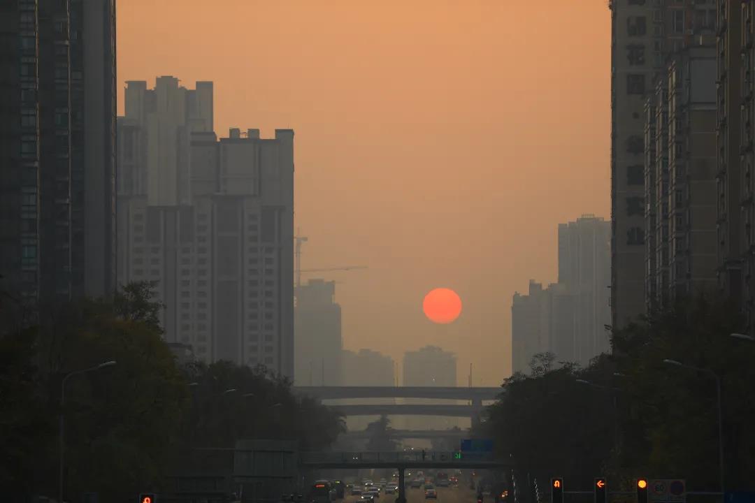 重磅！今后我省這些專業(yè)擬在一本招生
