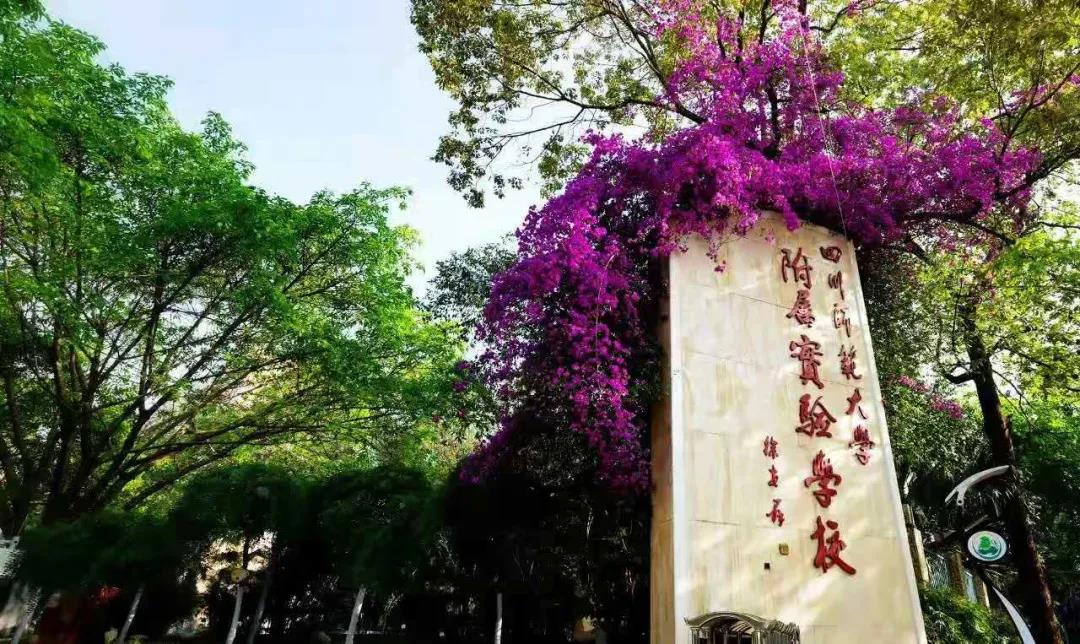 又一所官宣升級！成都一貫制學(xué)校有哪些了？